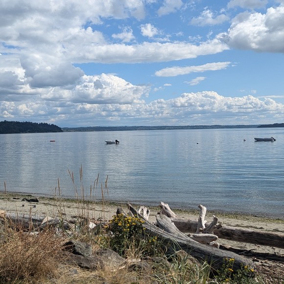 Meet your Posher, Lila - Picture 1 of 1